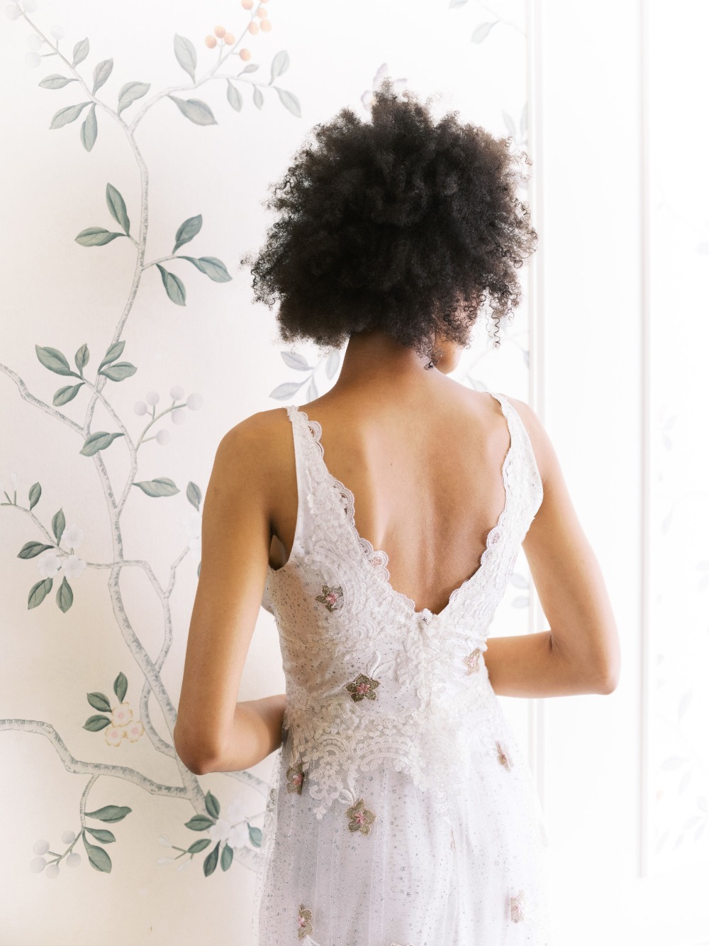 claire-pettibone-images-evolution-2020