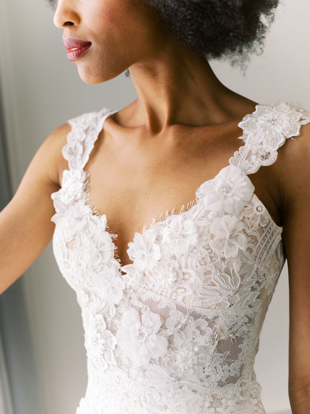 claire-pettibone-images-evolution-2020