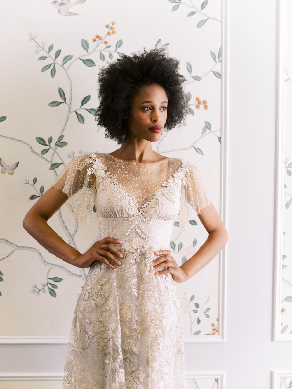 claire-pettibone-images-evolution-2020