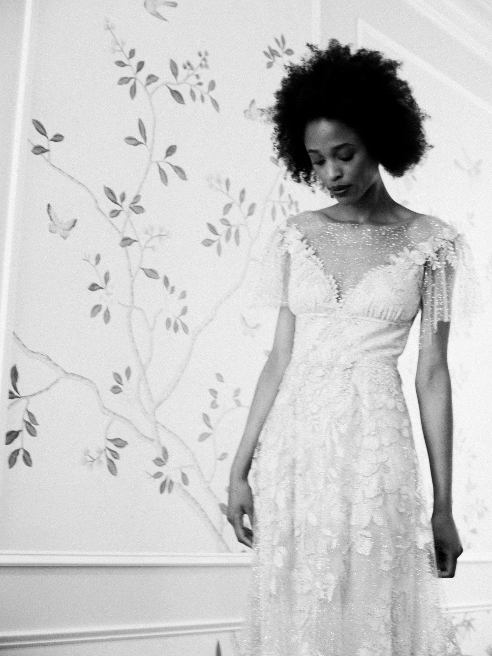 claire-pettibone-images-evolution-2020