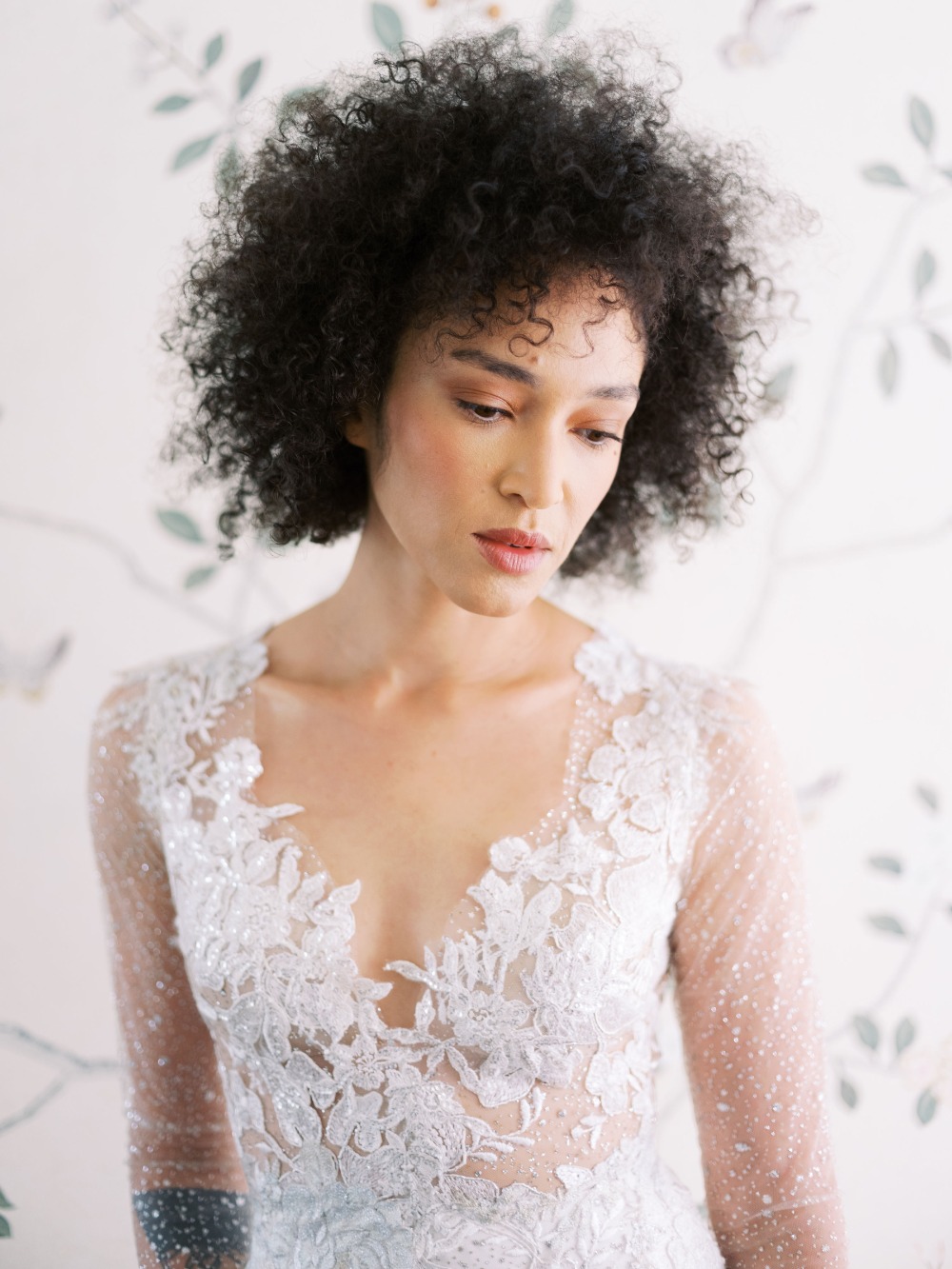 claire-pettibone-images-evolution-2020