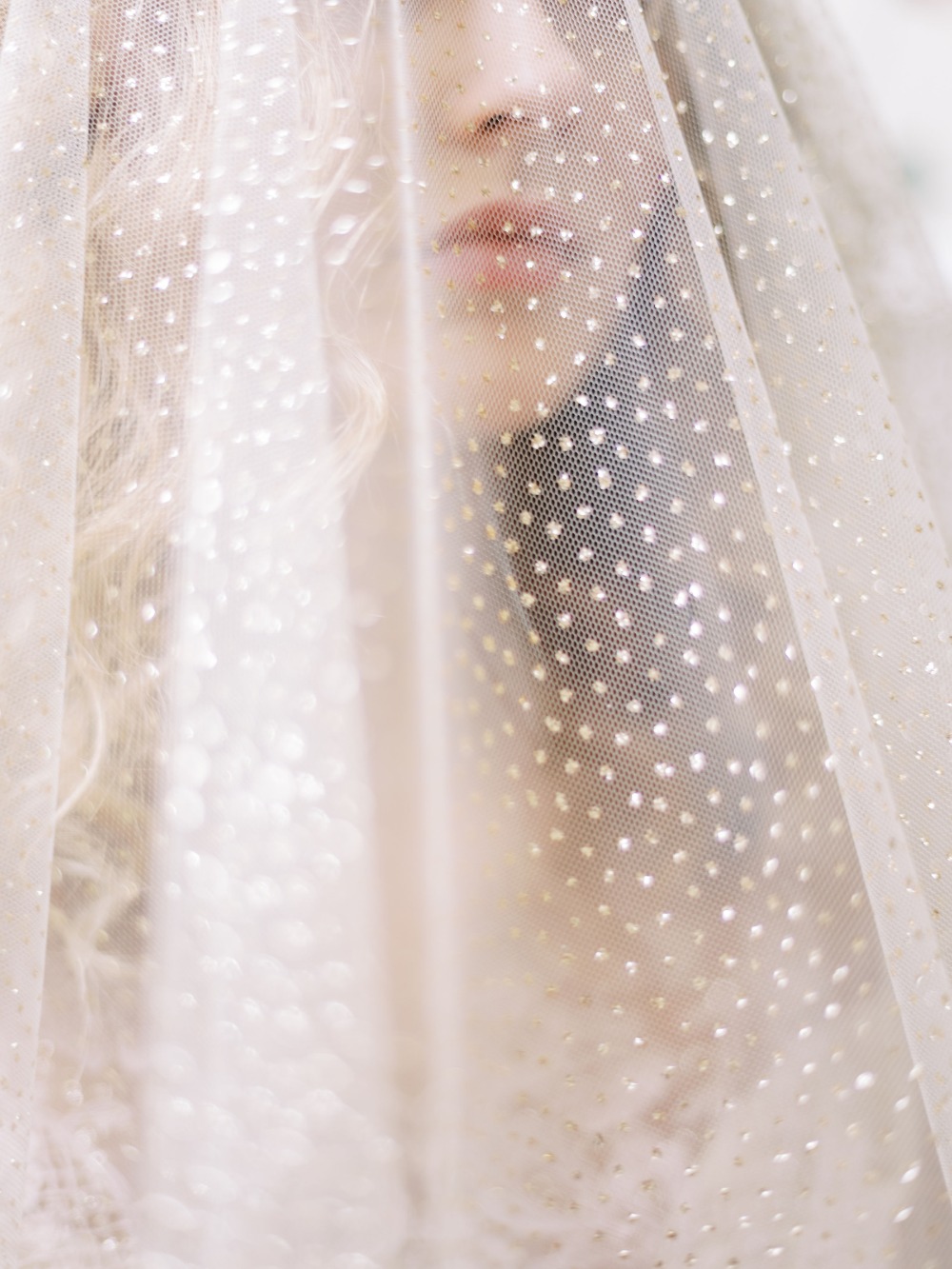 claire-pettibone-images-evolution-2020