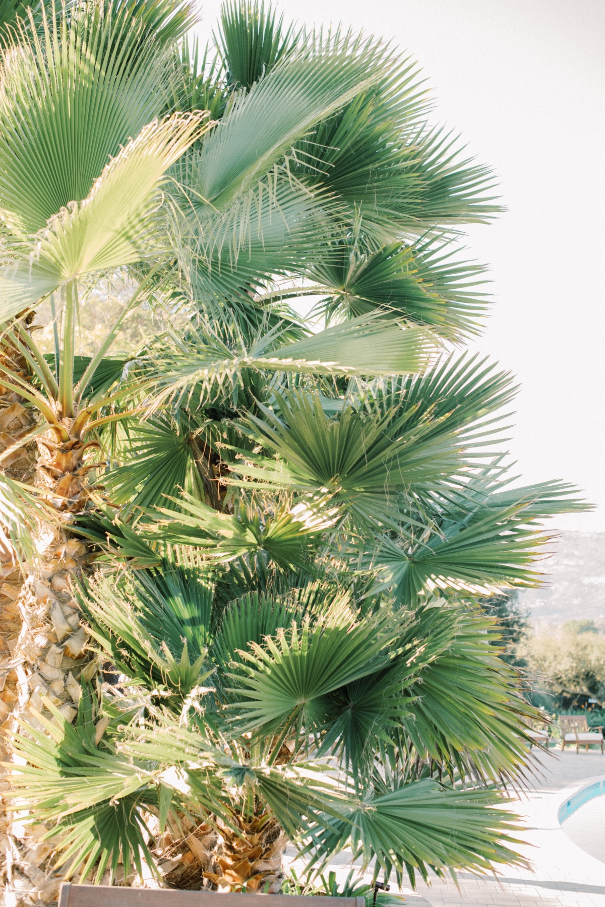 hidden-oaks-ranch-editorial-chelsey-and