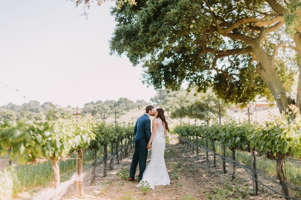 Bride and groom kissing in a vineyard wedding photo