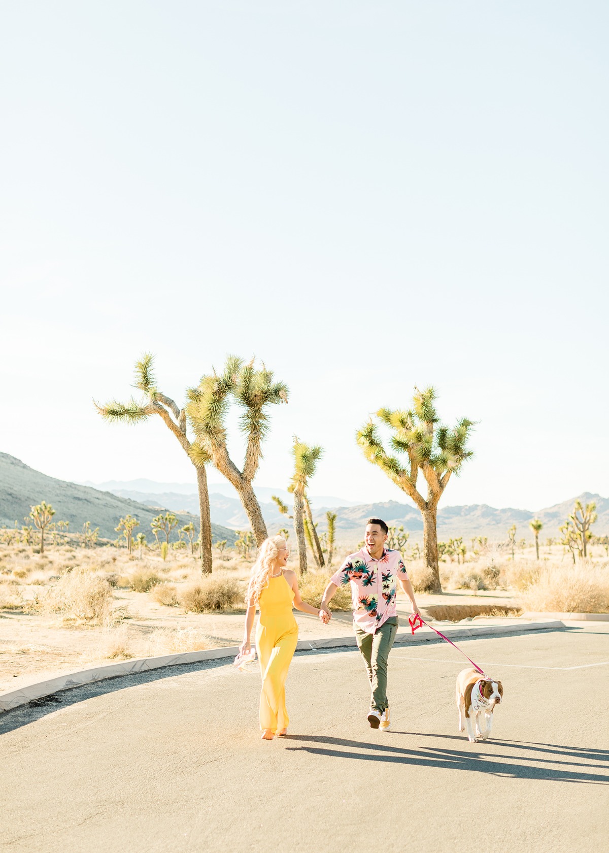 cheersbabephoto-joshuatreeengagement-wed