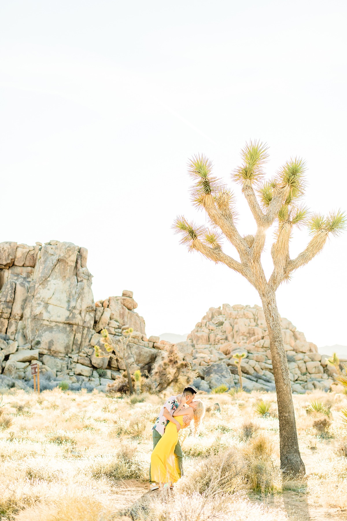 cheersbabephoto-joshuatreeengagement-wed