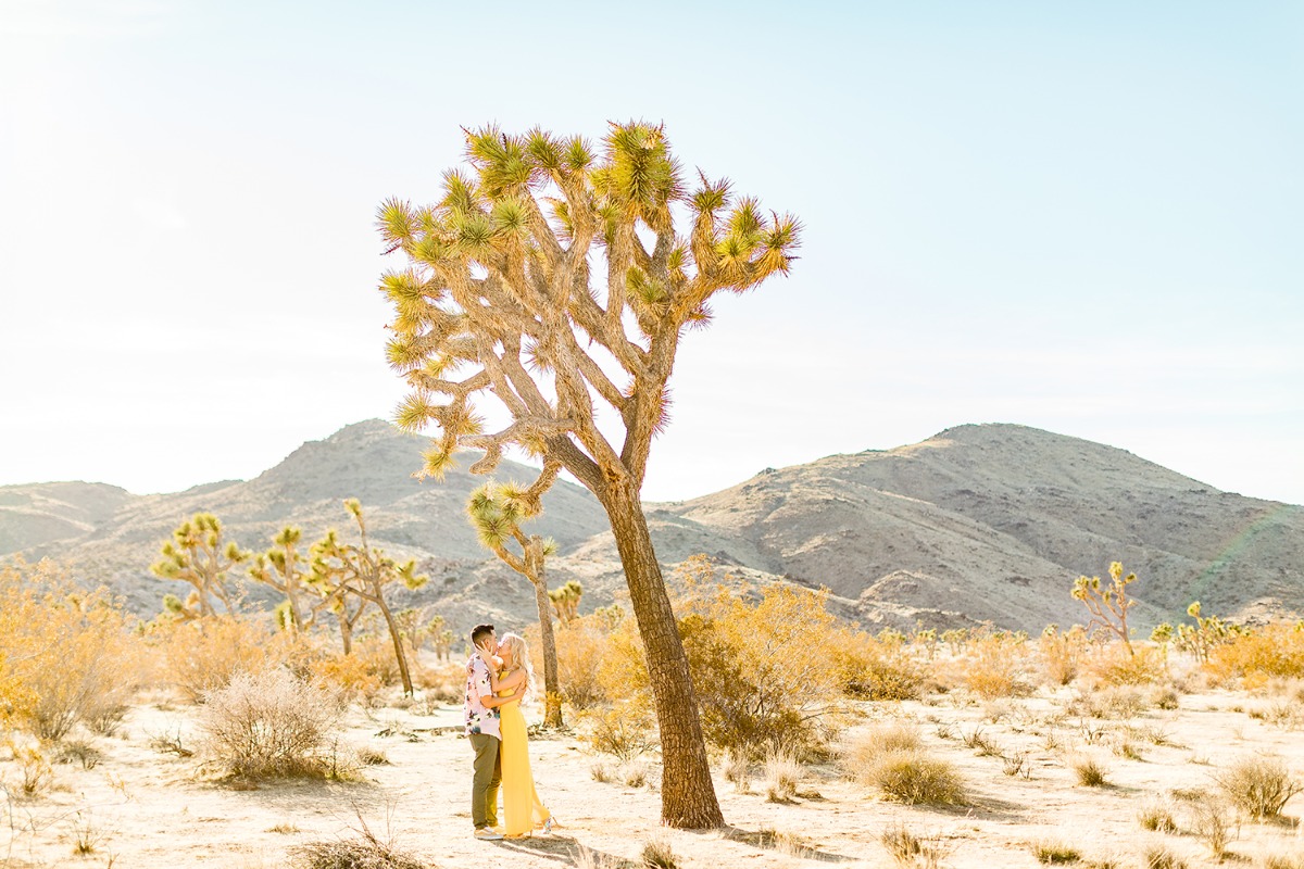 cheersbabephoto-joshuatreeengagement-wed