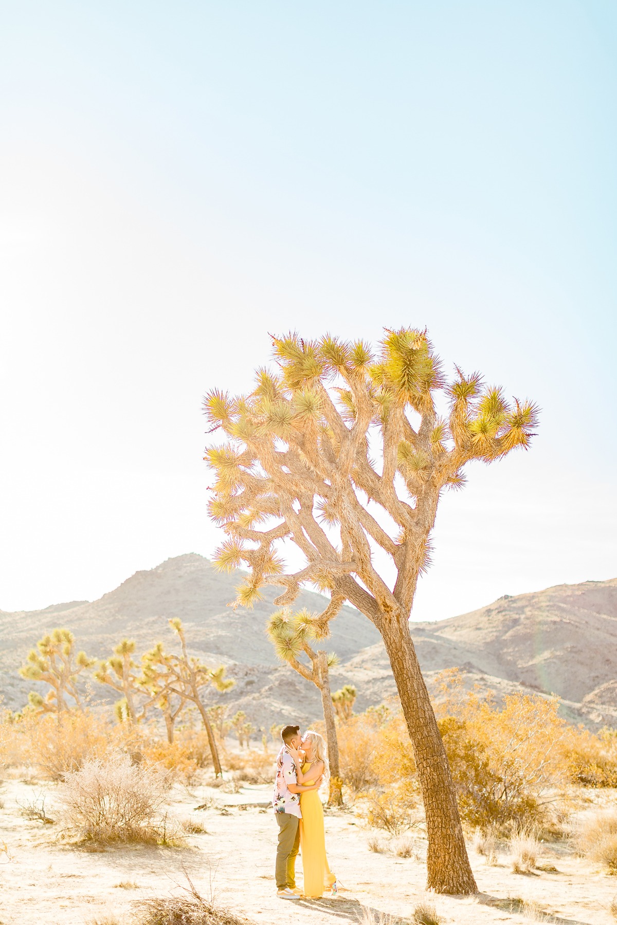 cheersbabephoto-joshuatreeengagement-wed