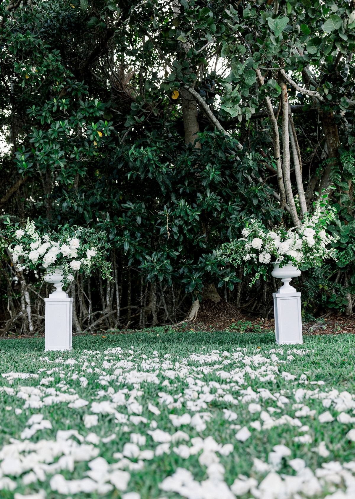 desiree-spencer-white-orchid-at-oasis-we