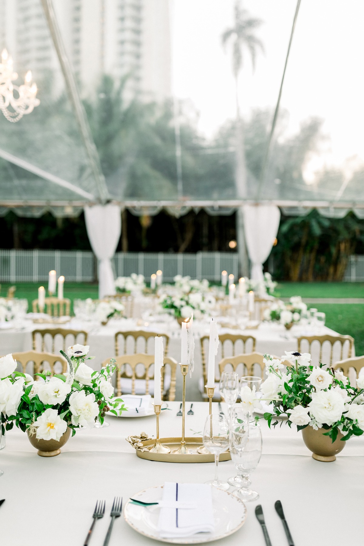 desiree-spencer-white-orchid-at-oasis-we