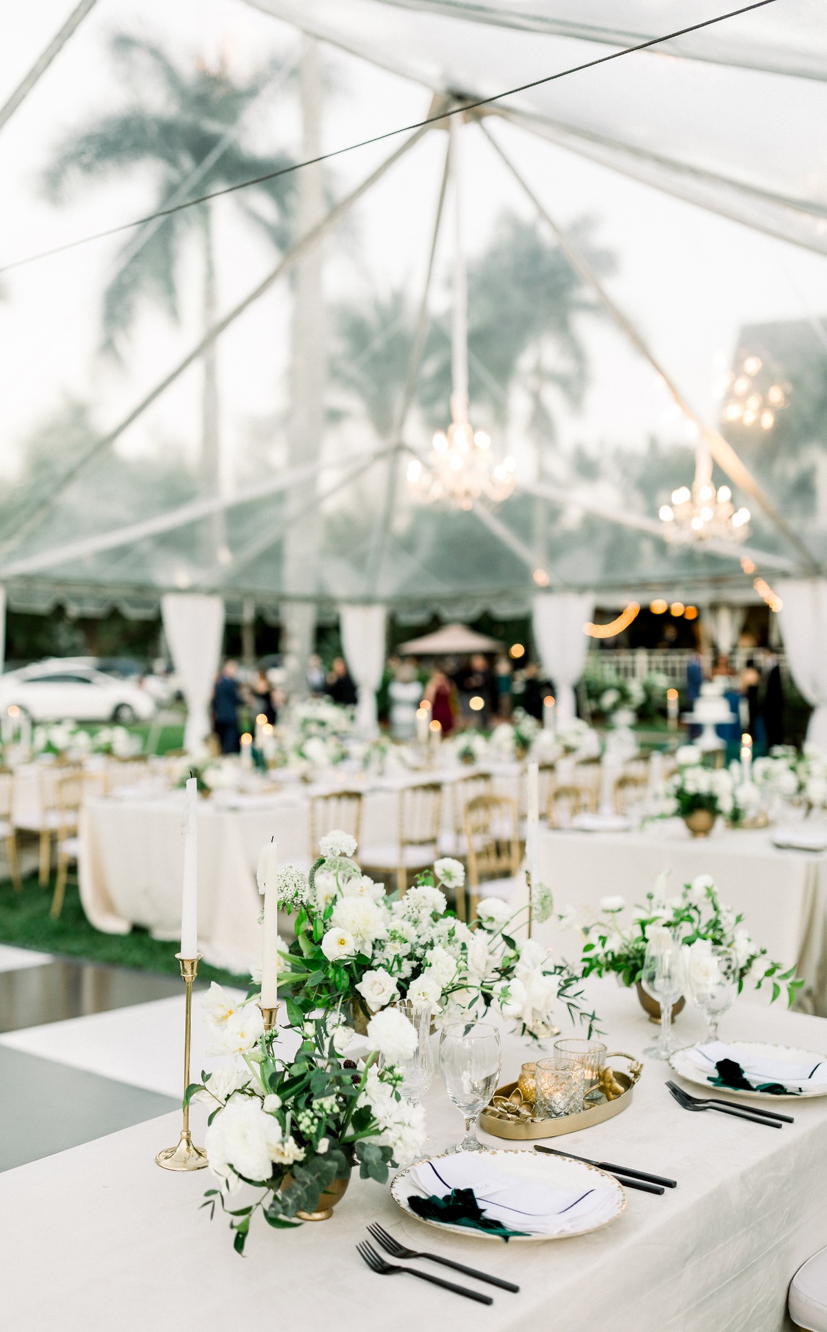 desiree-spencer-white-orchid-at-oasis-we