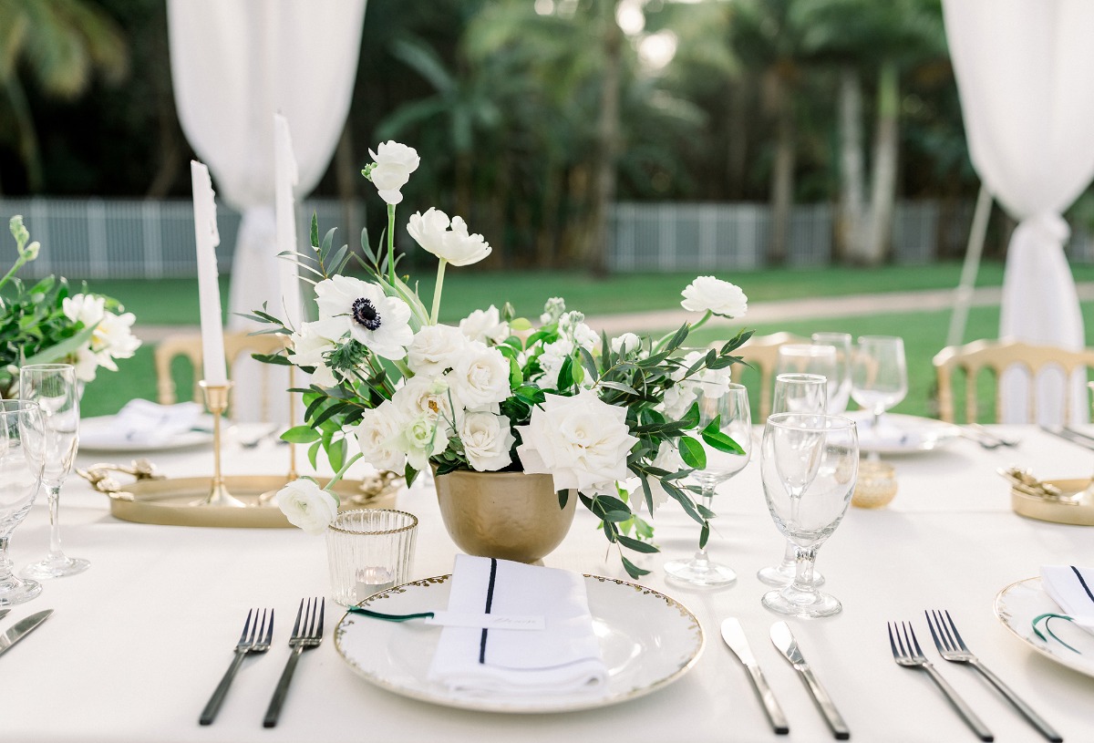 desiree-spencer-white-orchid-at-oasis-we
