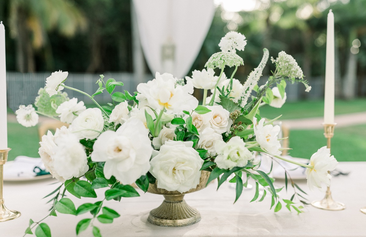 desiree-spencer-white-orchid-at-oasis-we