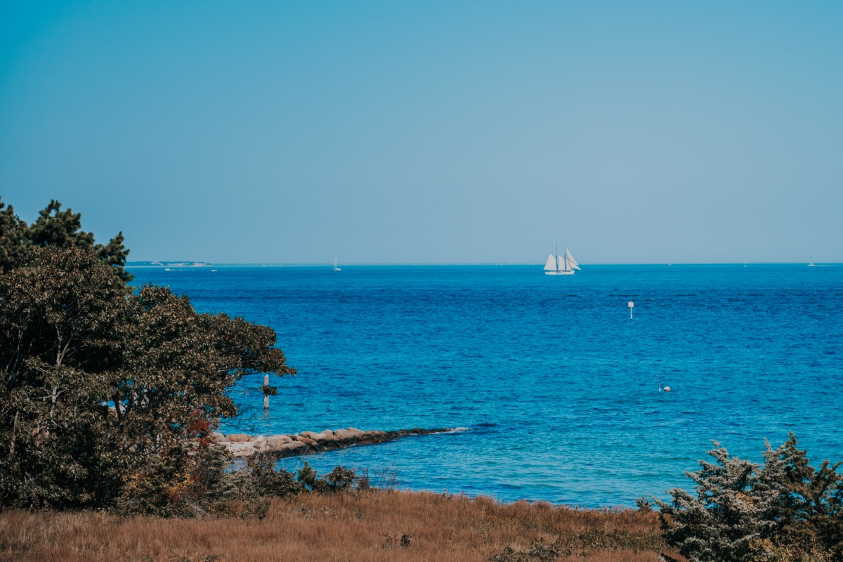 dmargherite_wedding2019_callahan-4562