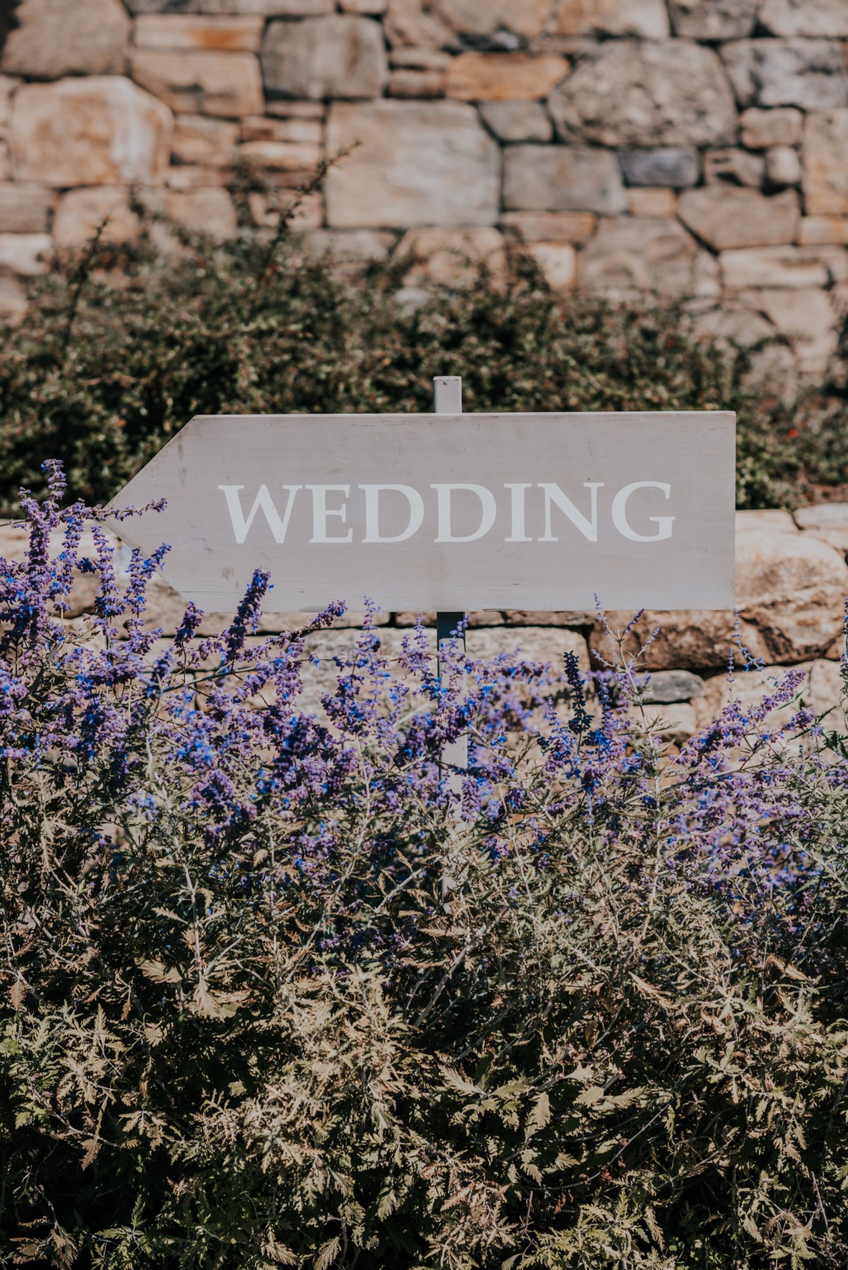 dmargherite_wedding2019_callahan-7234
