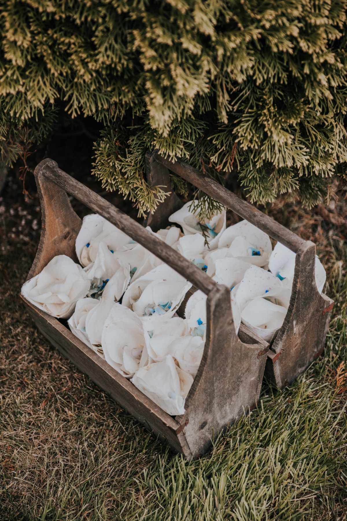 dmargherite_wedding2019_callahan-7580