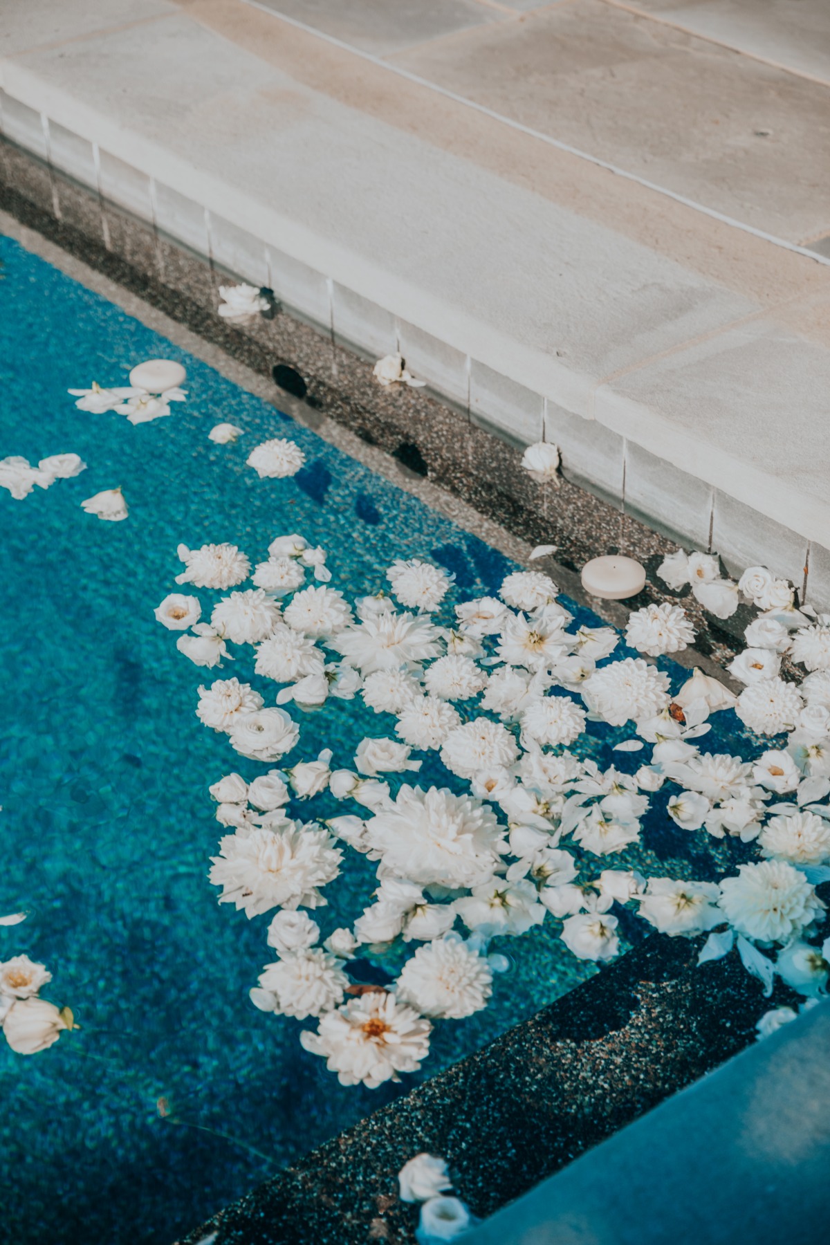 dmargherite_wedding2019_callahan-8488