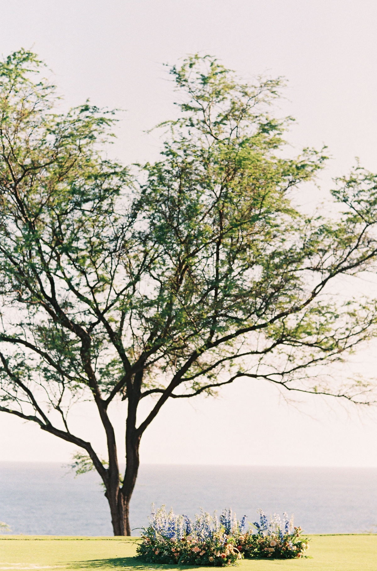 dmitriandsandraphotography-fourseasonsla