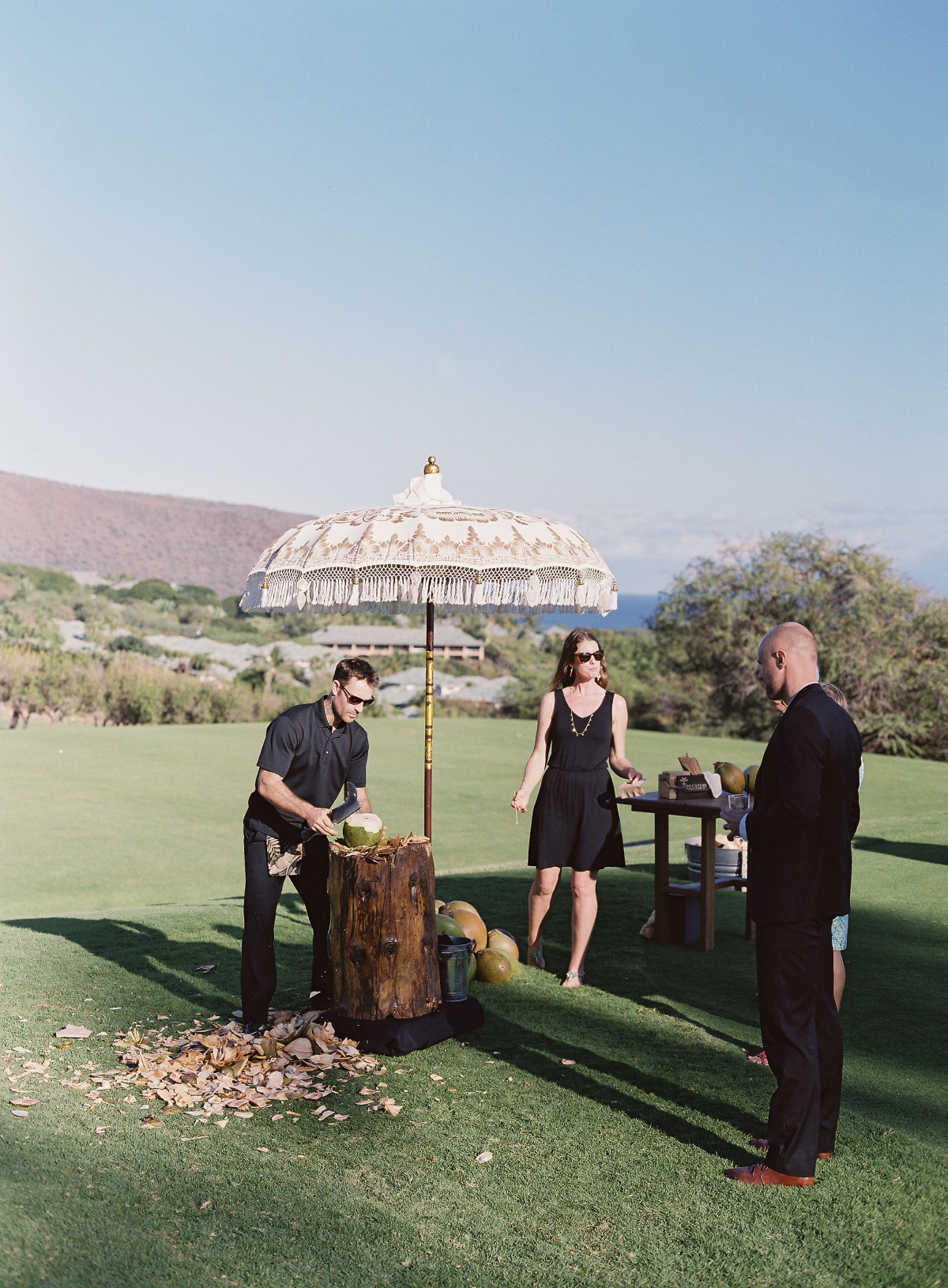 dmitriandsandraphotography-fourseasonsla