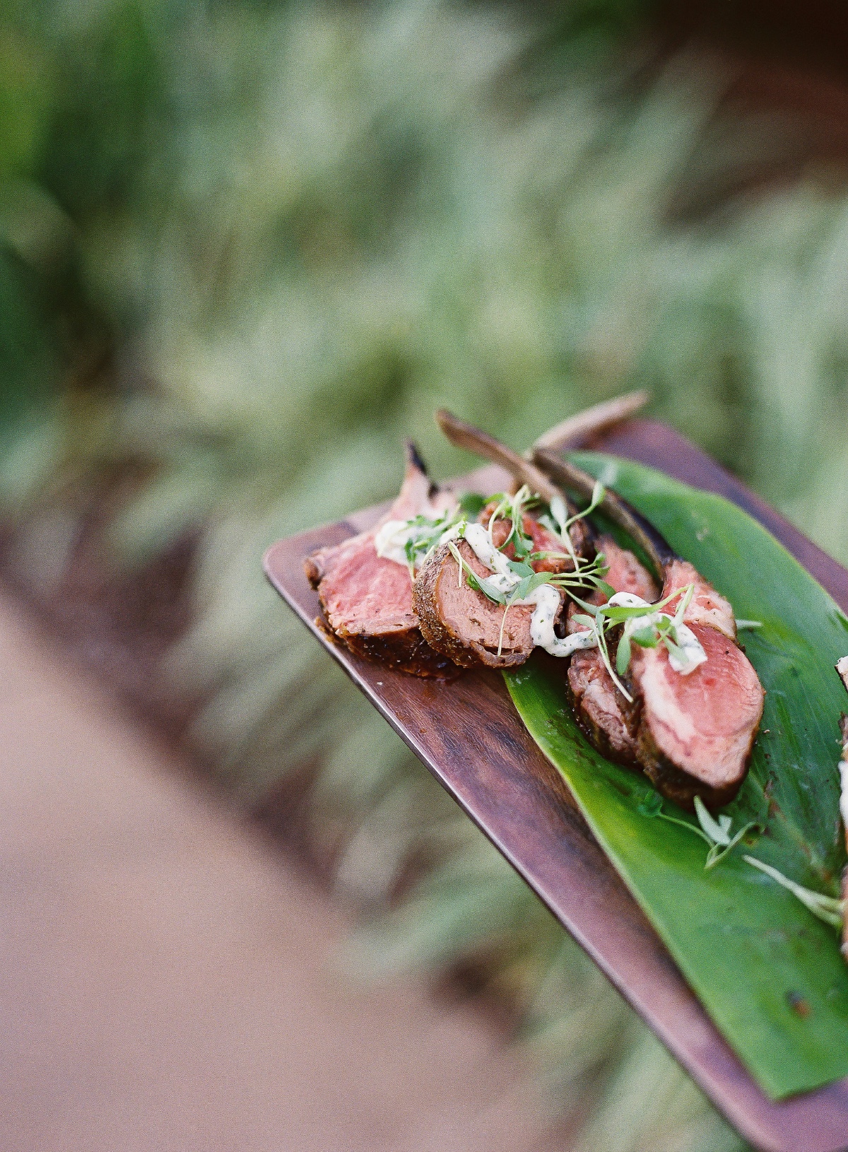dmitriandsandraphotography-fourseasonsla