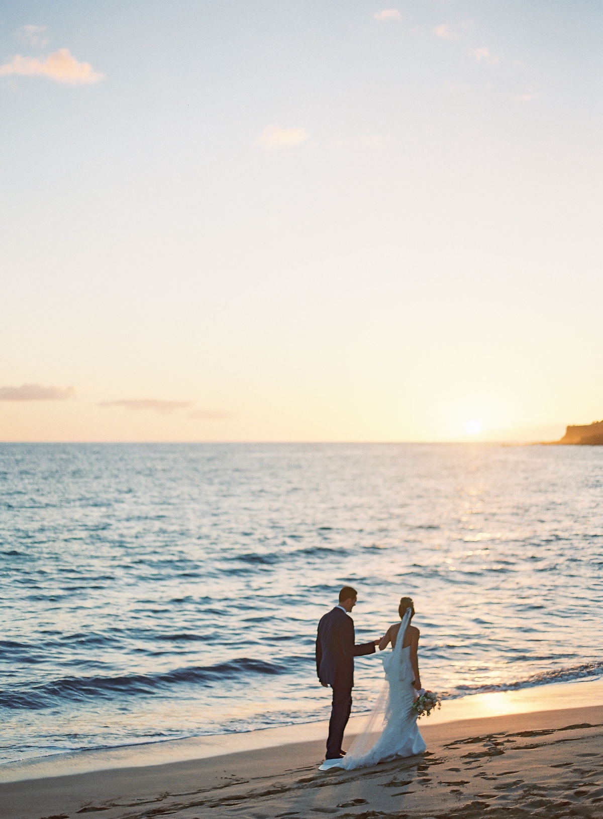 dmitriandsandraphotography-fourseasonsla