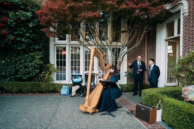 wedding harpist at entrance to wedding