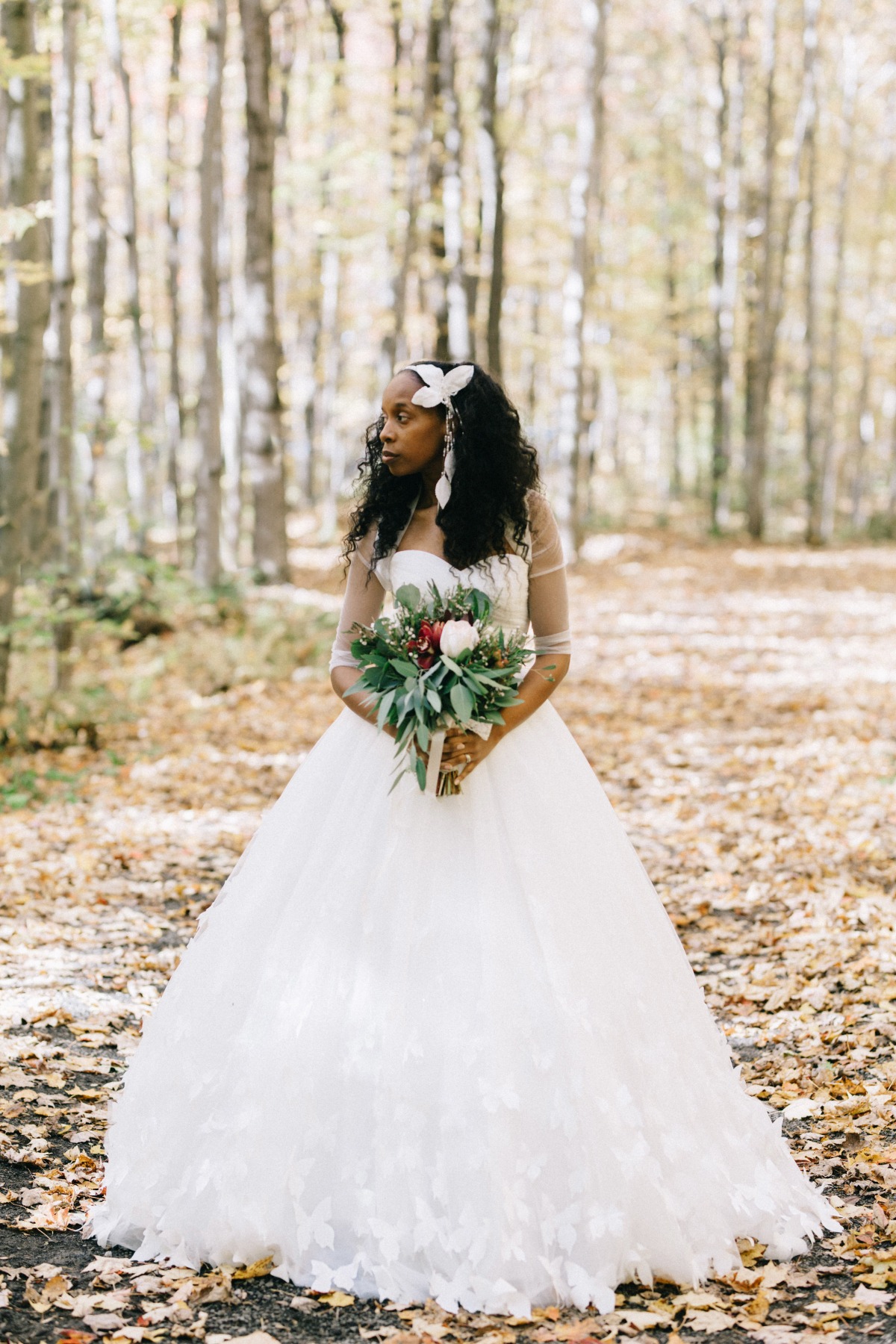 enchanted-forest_cgds6630