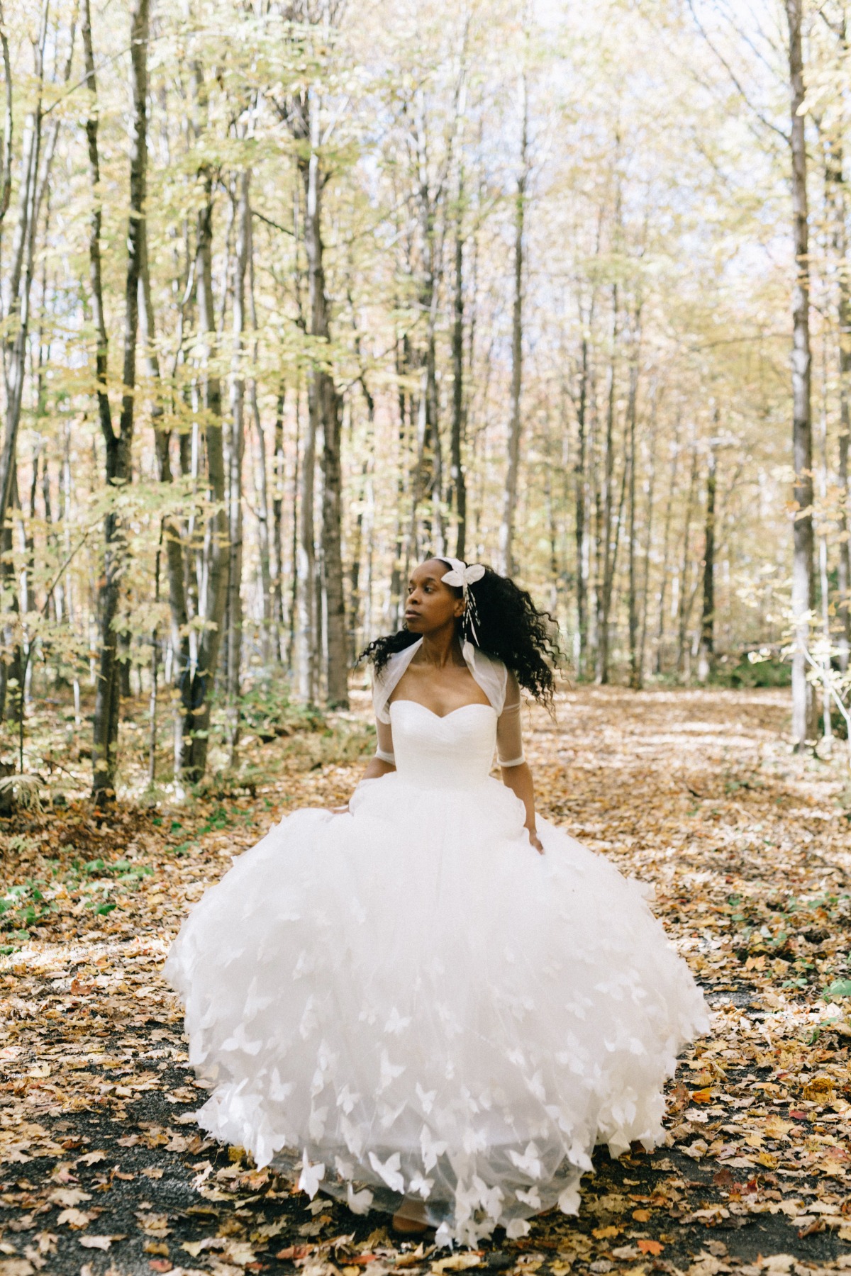 enchanted-forest_cgds6747