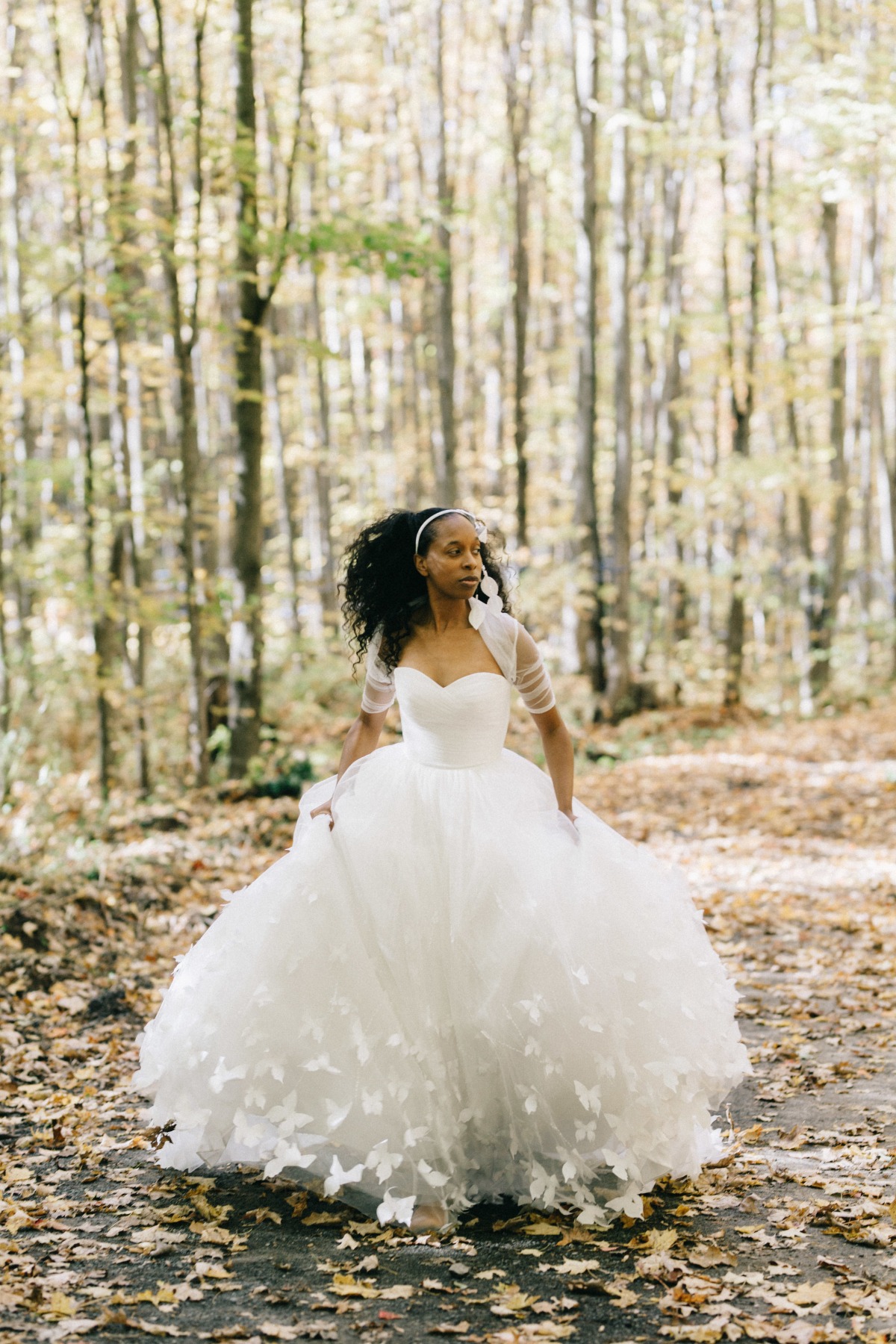enchanted-forest_cgds6763