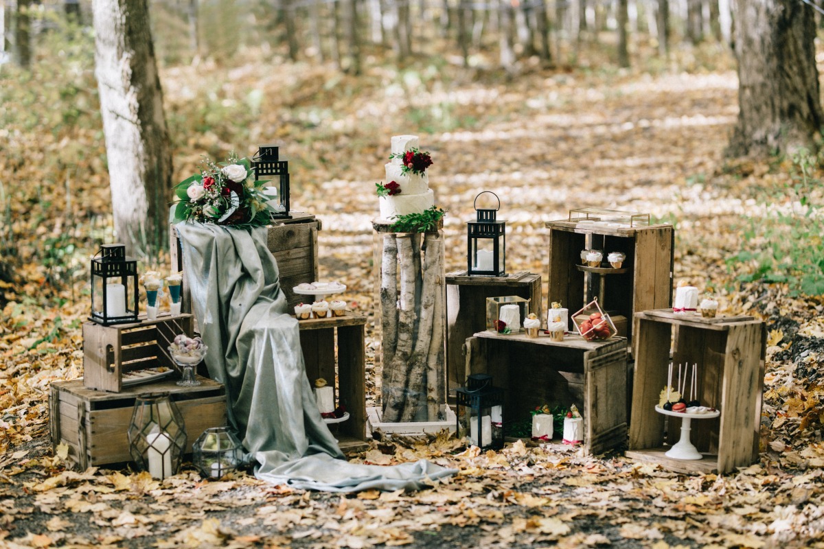enchanted-forest_cgds6964