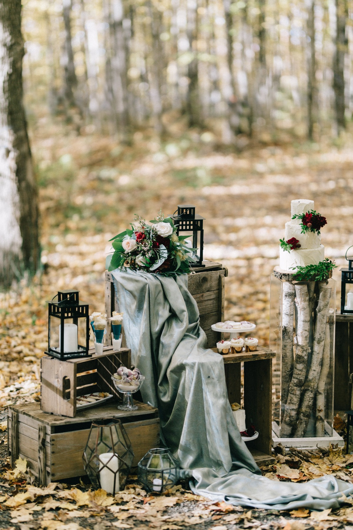 enchanted-forest_cgds6966