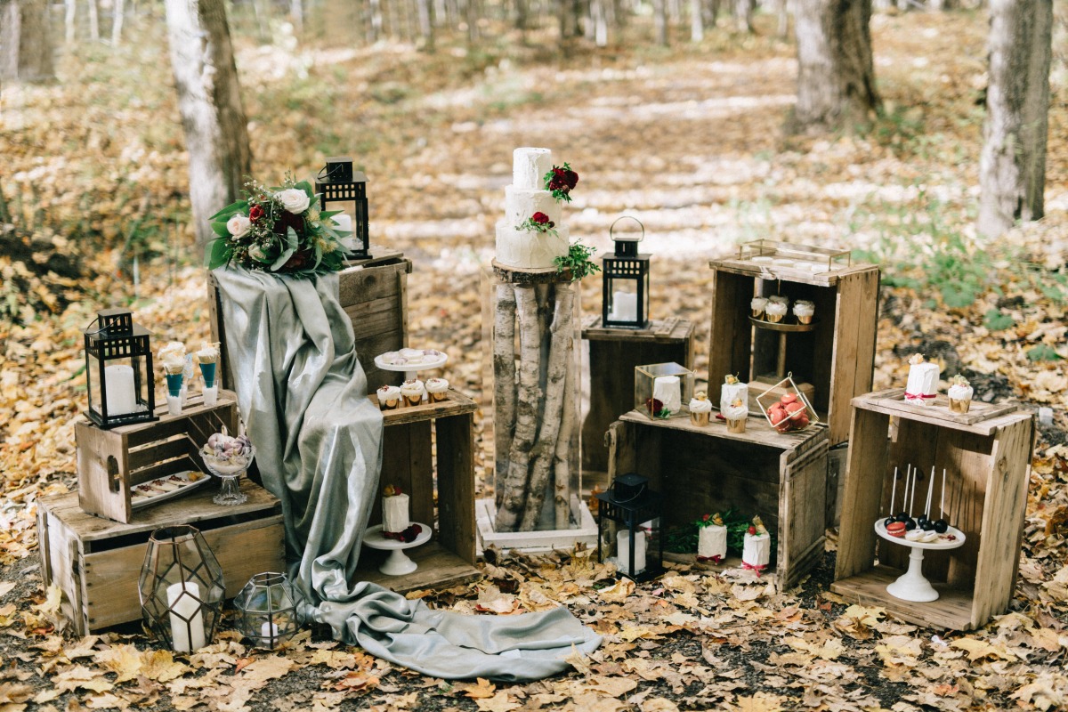 enchanted-forest_cgds7015