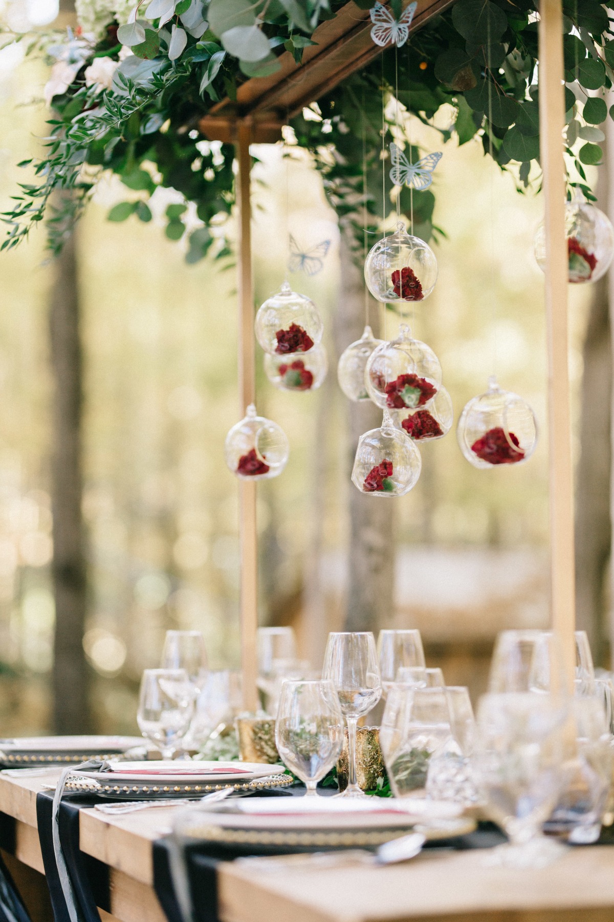 enchanted-forest_cgds7093