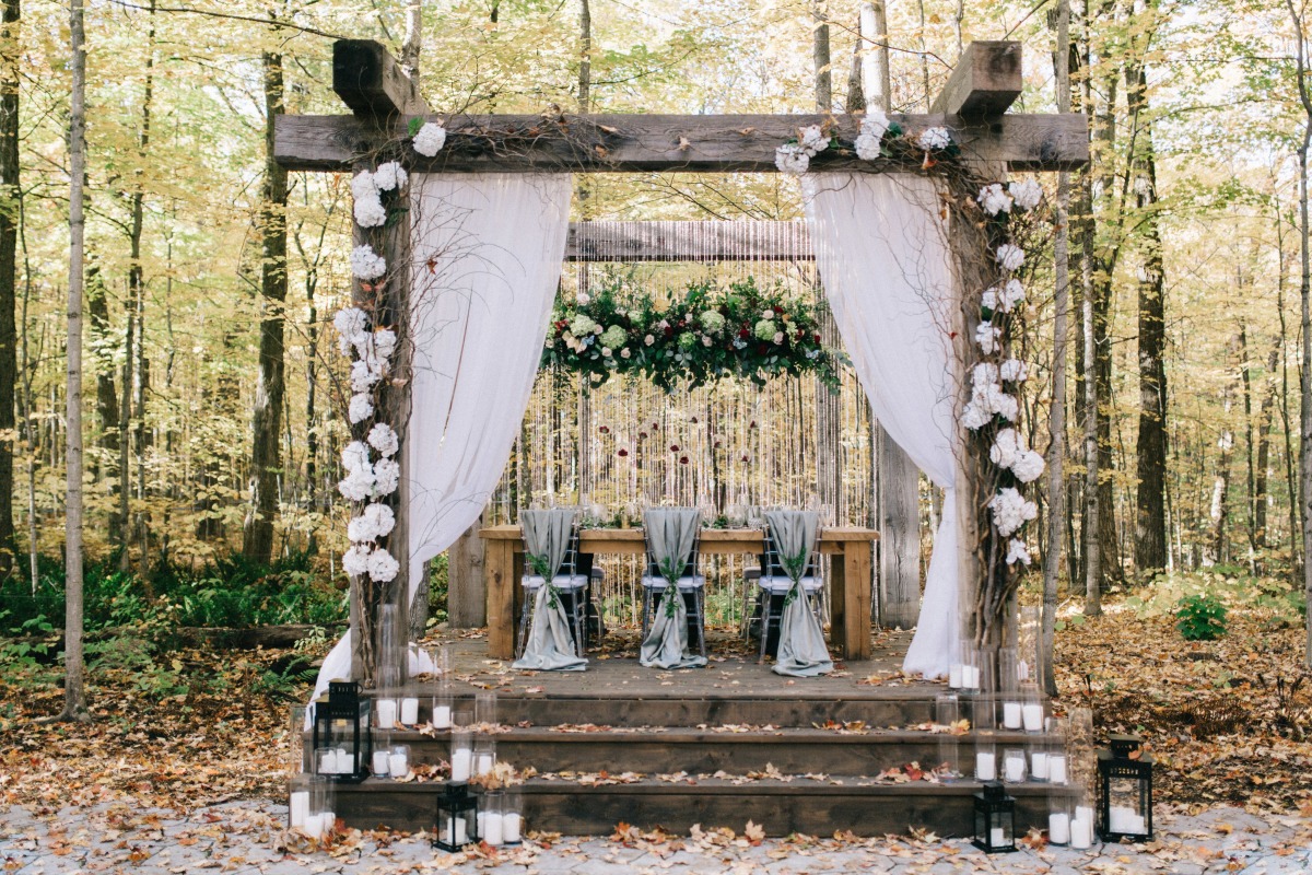 enchanted-forest_cgds7130