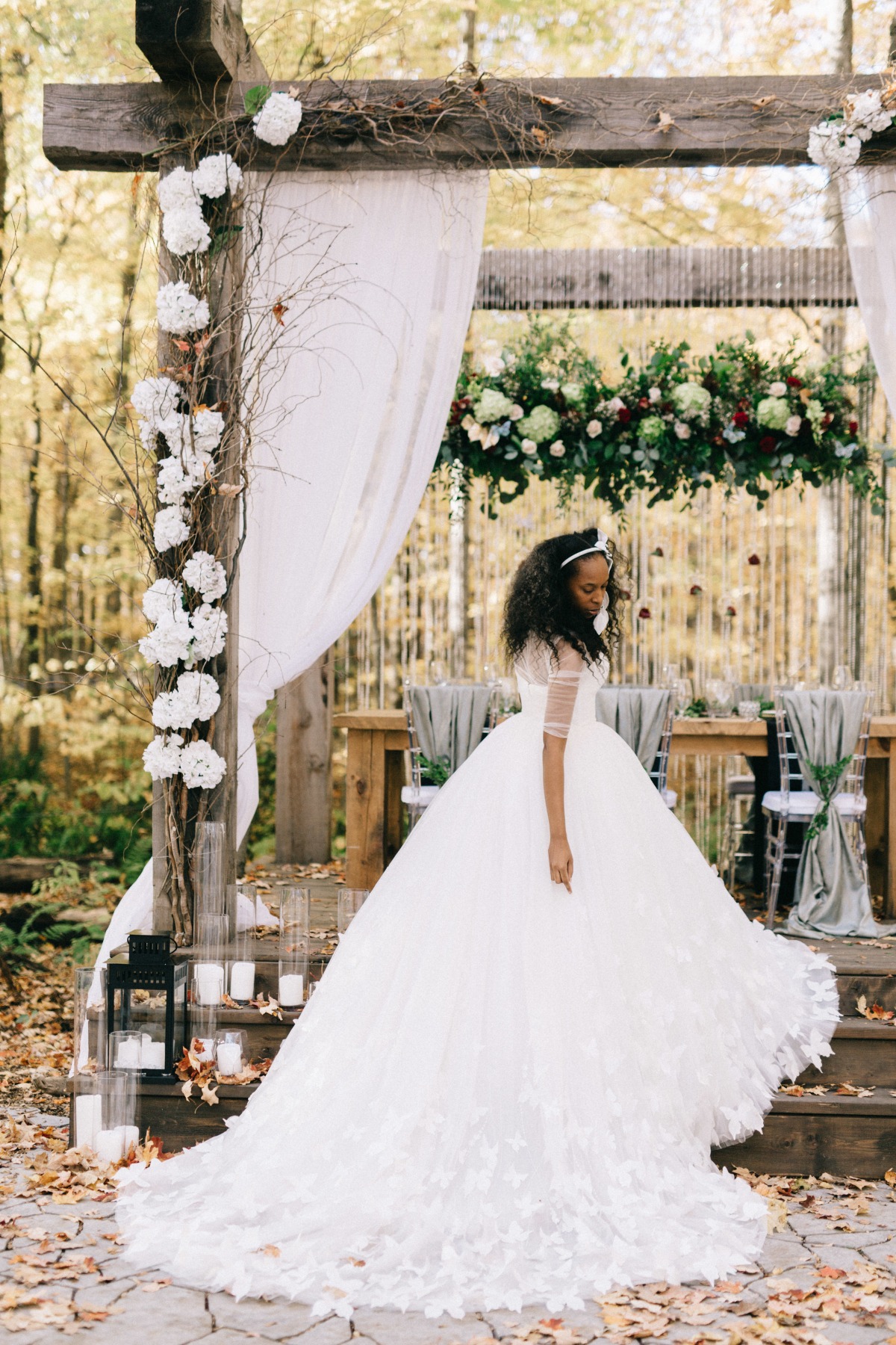 enchanted-forest_cgds7187
