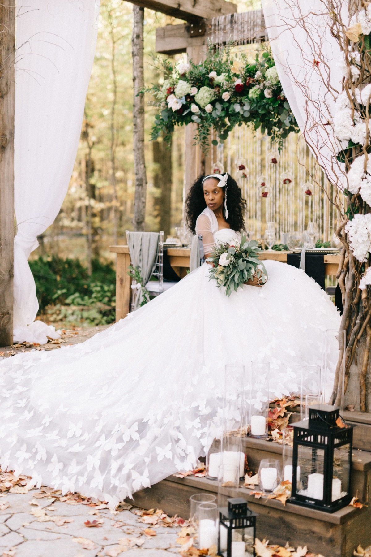 enchanted-forest_cgds7272