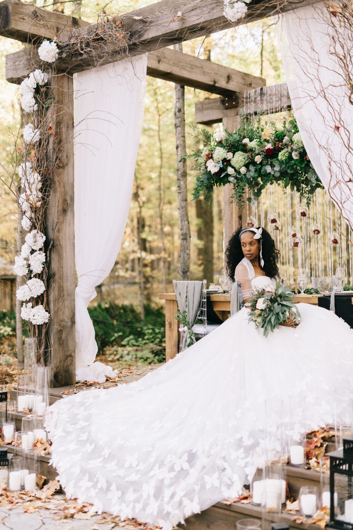 enchanted-forest_cgds7273