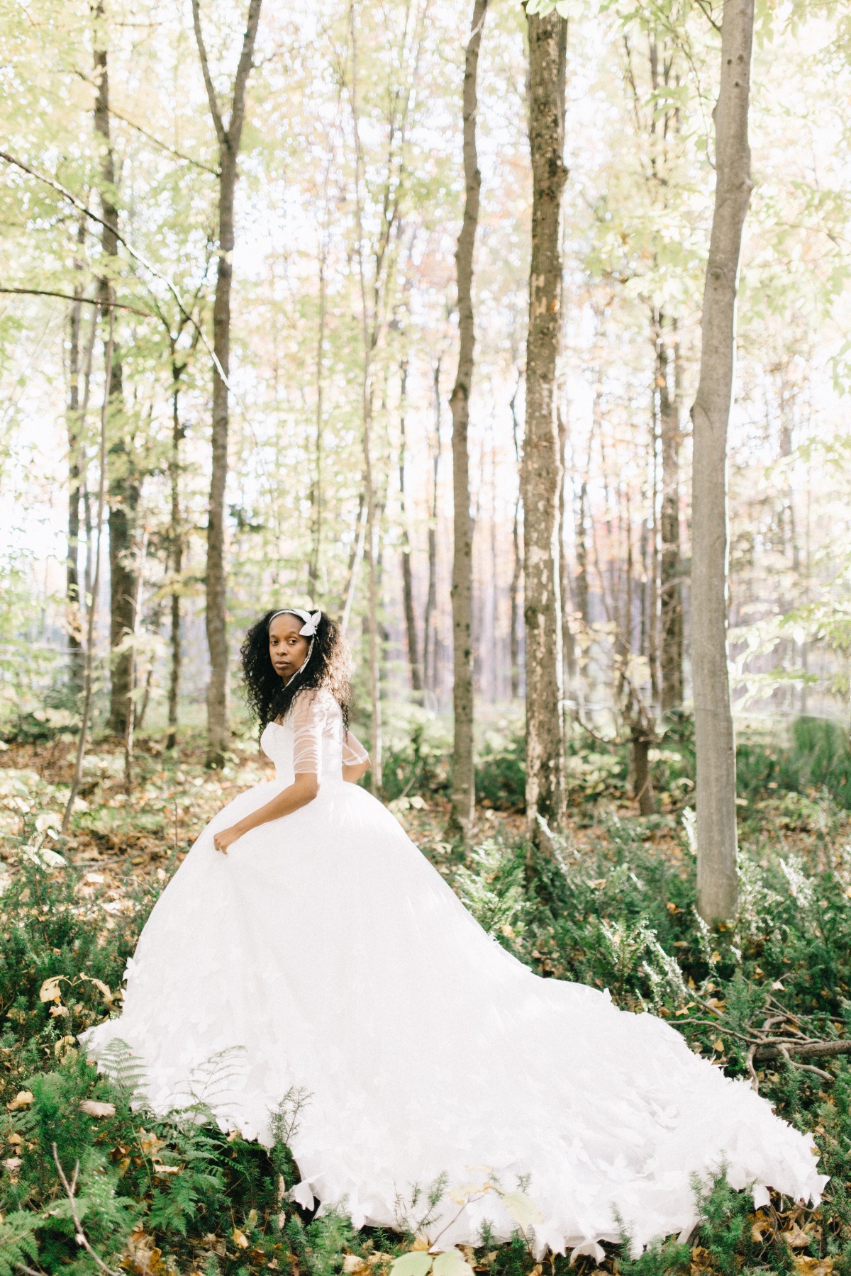 enchanted-forest_cgds7324