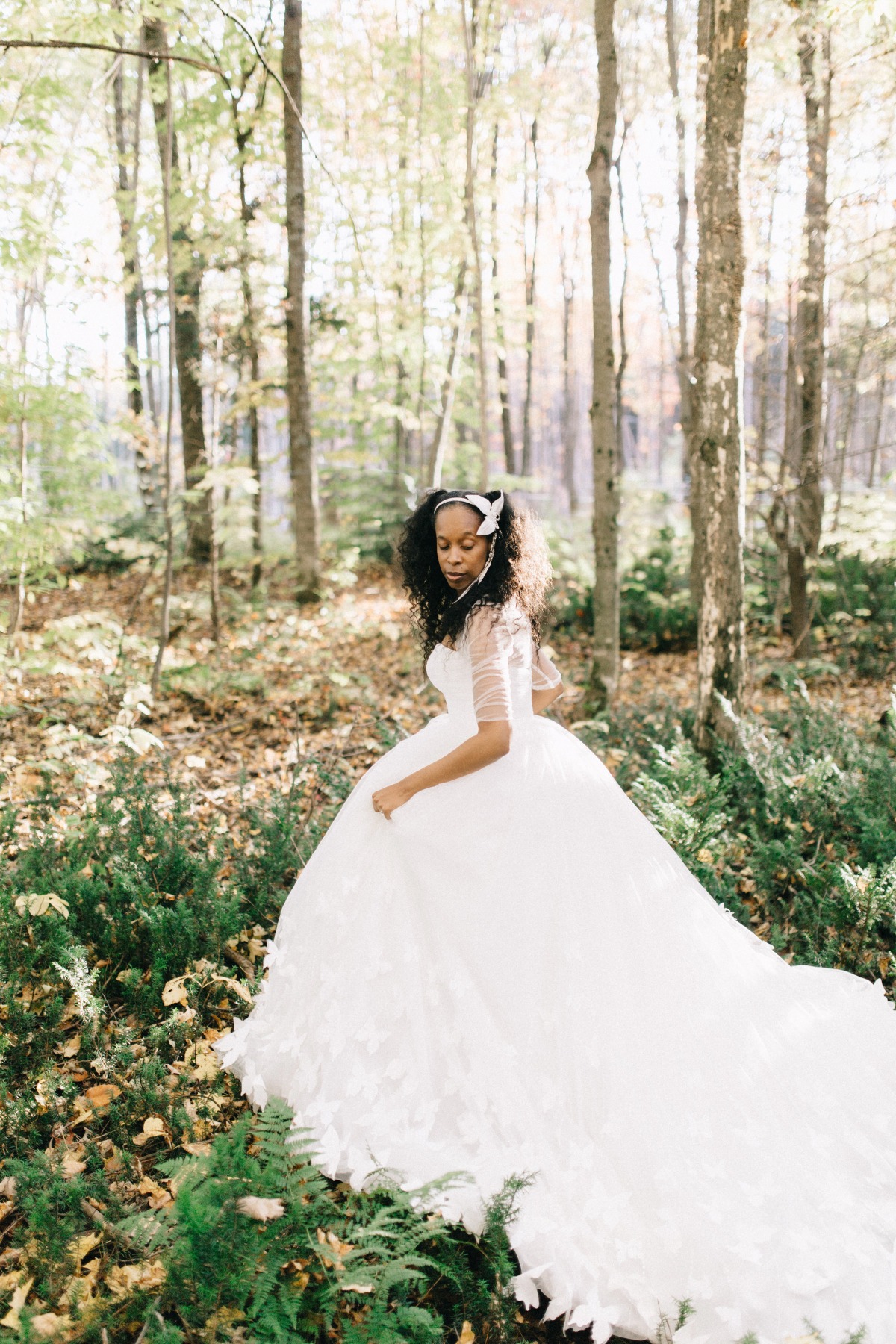 enchanted-forest_cgds7327