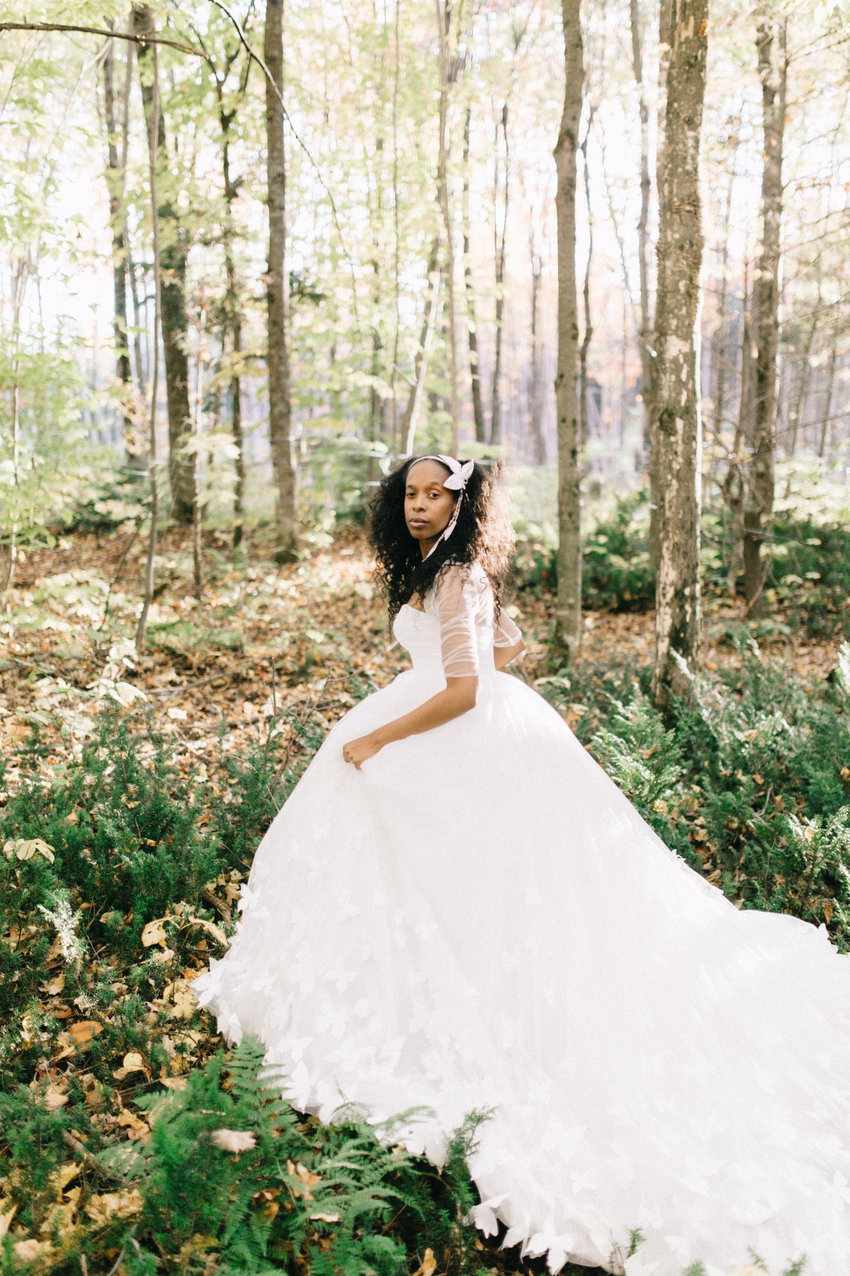 enchanted-forest_cgds7329