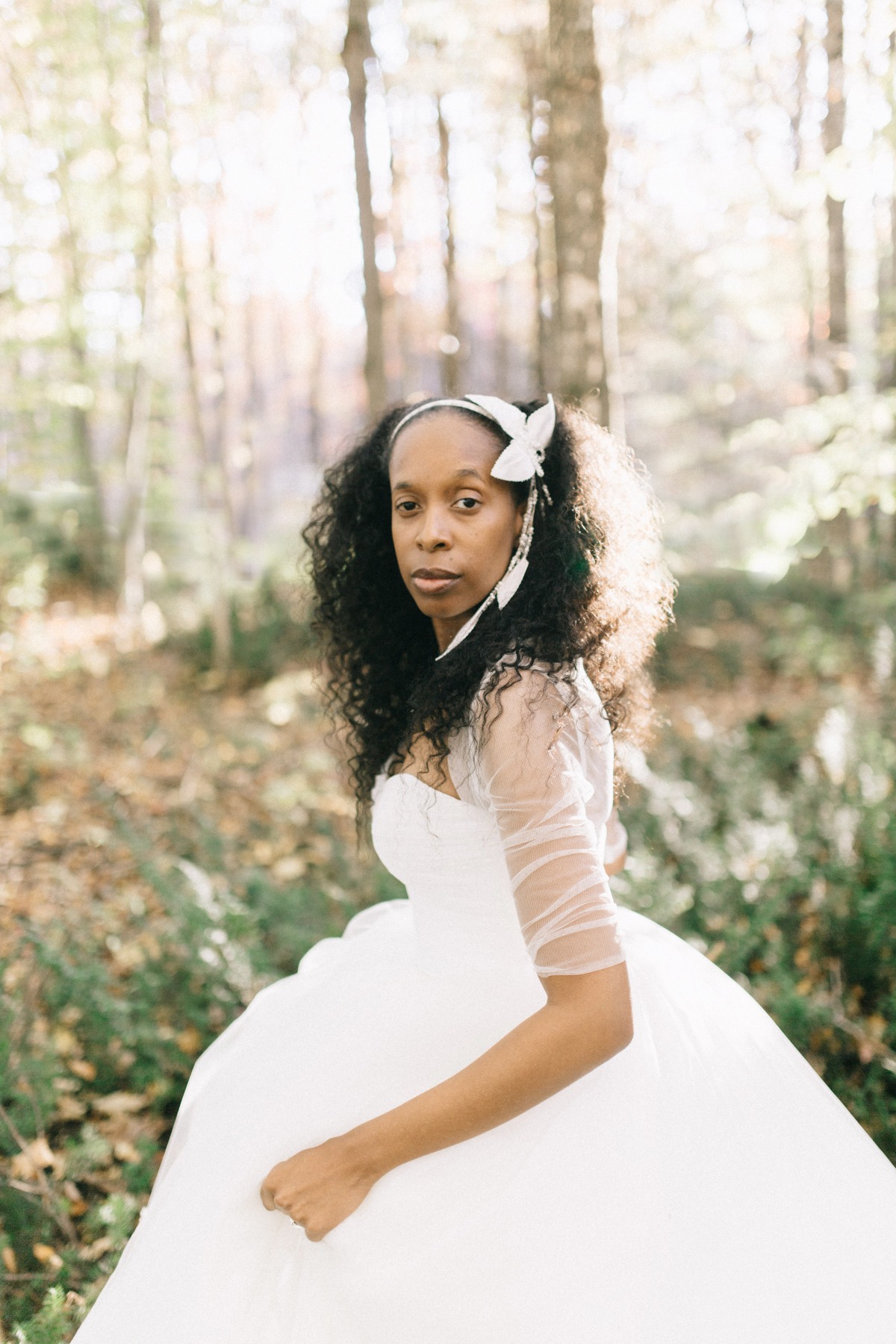 enchanted-forest_cgds7330