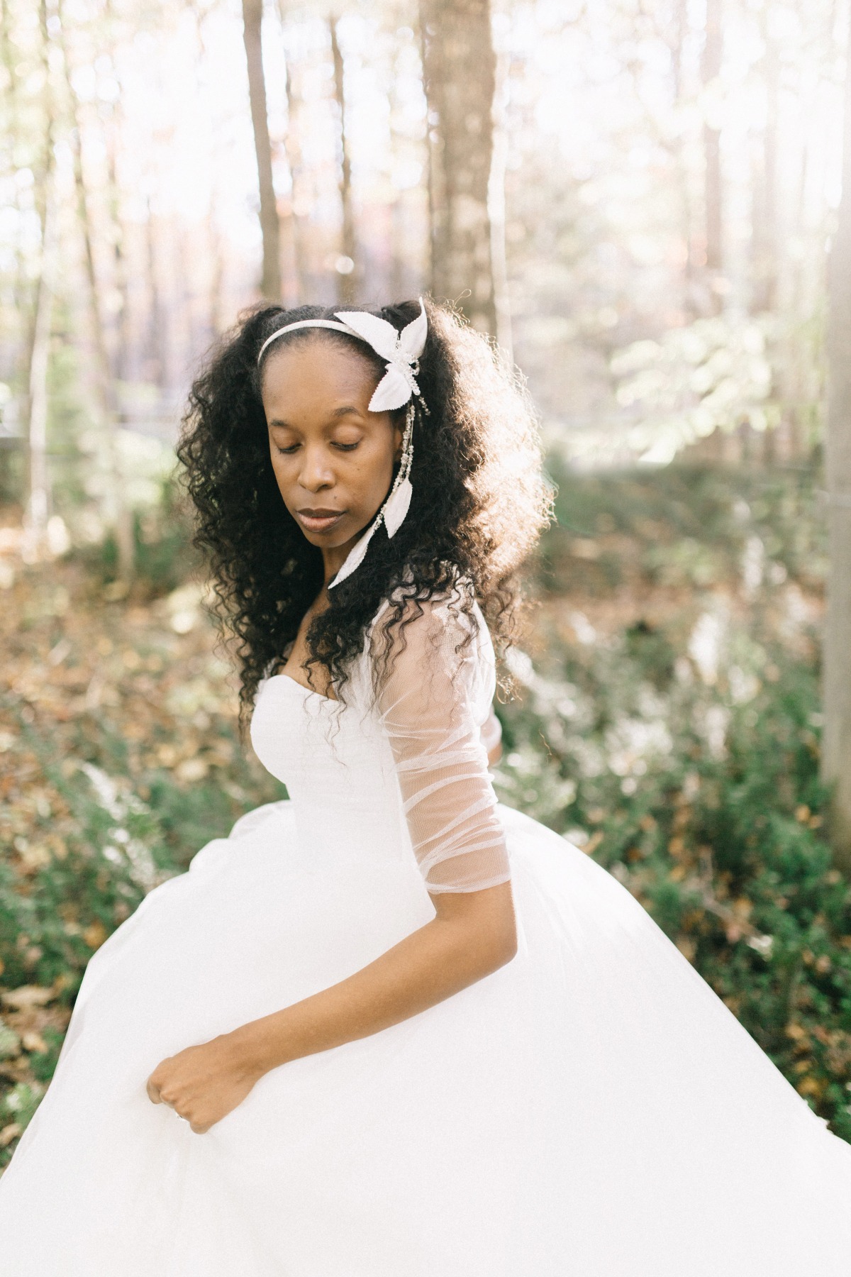 enchanted-forest_cgds7331