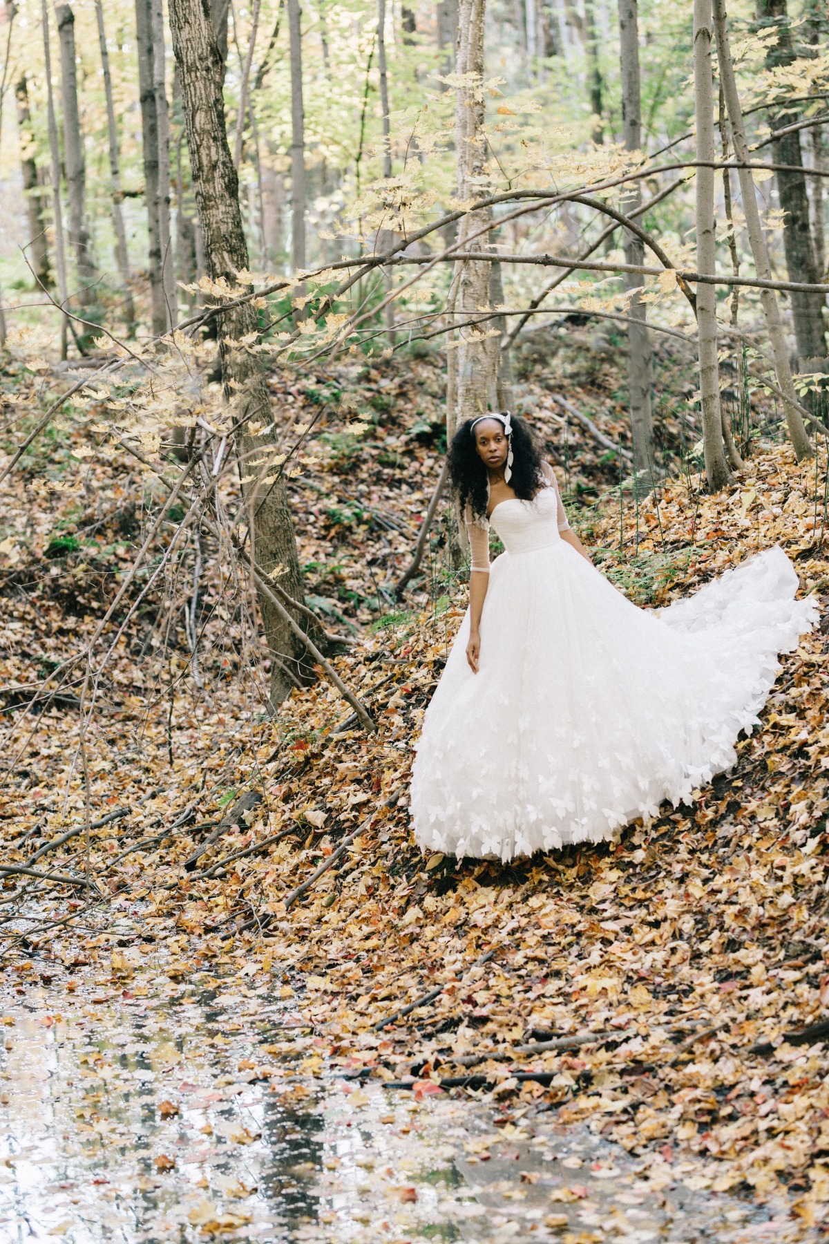 enchanted-forest_cgds7343