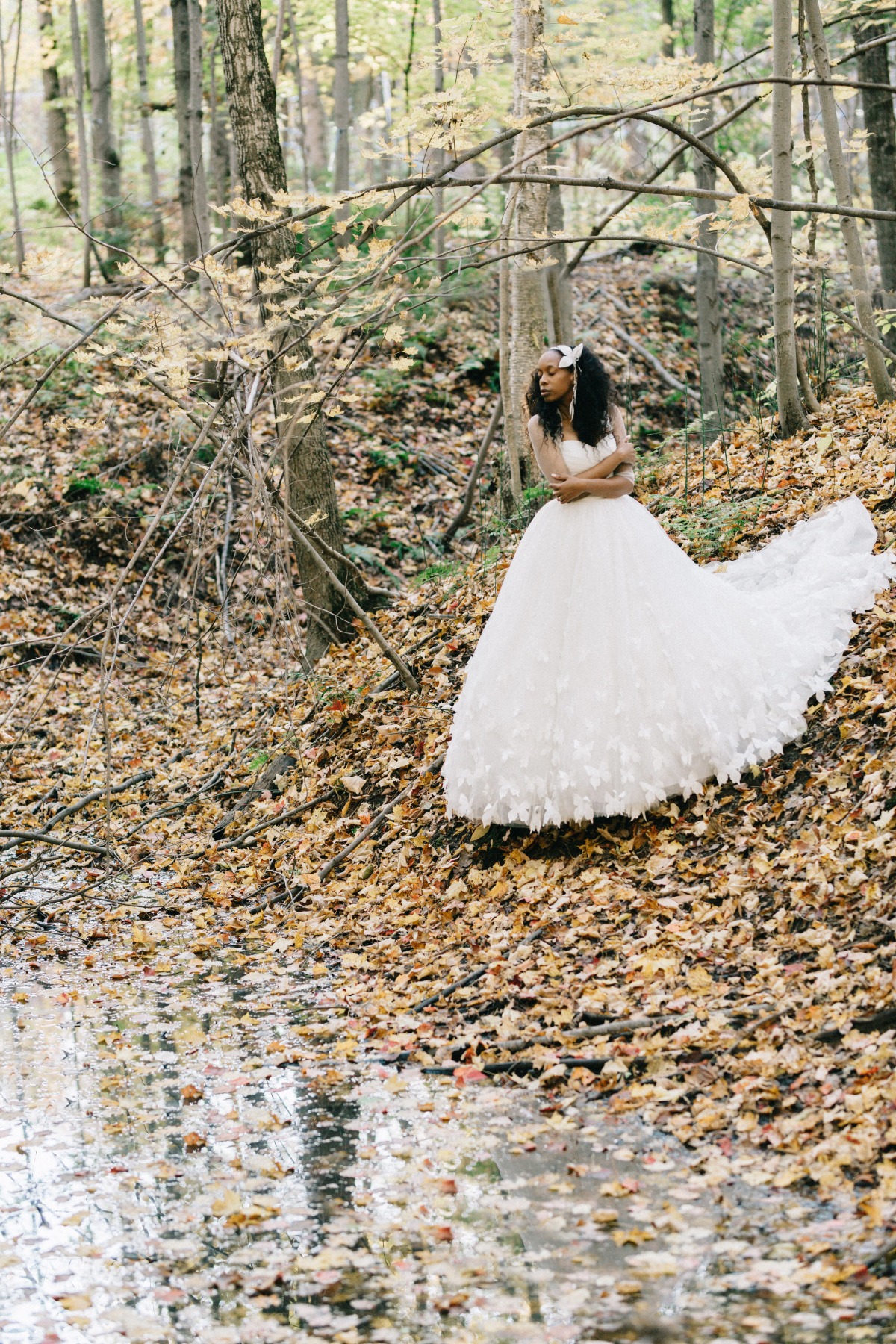 enchanted-forest_cgds7351
