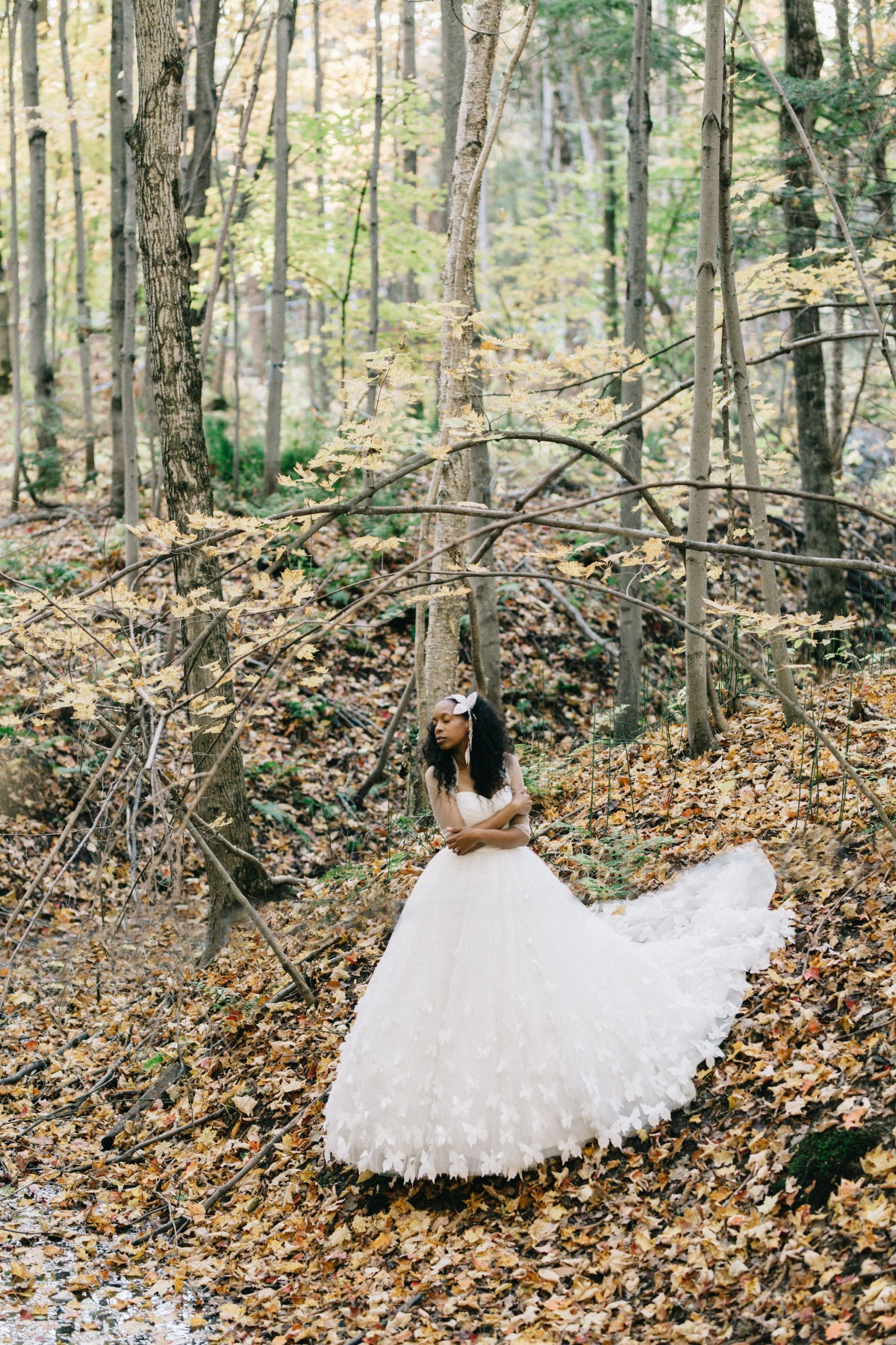 enchanted-forest_cgds7360