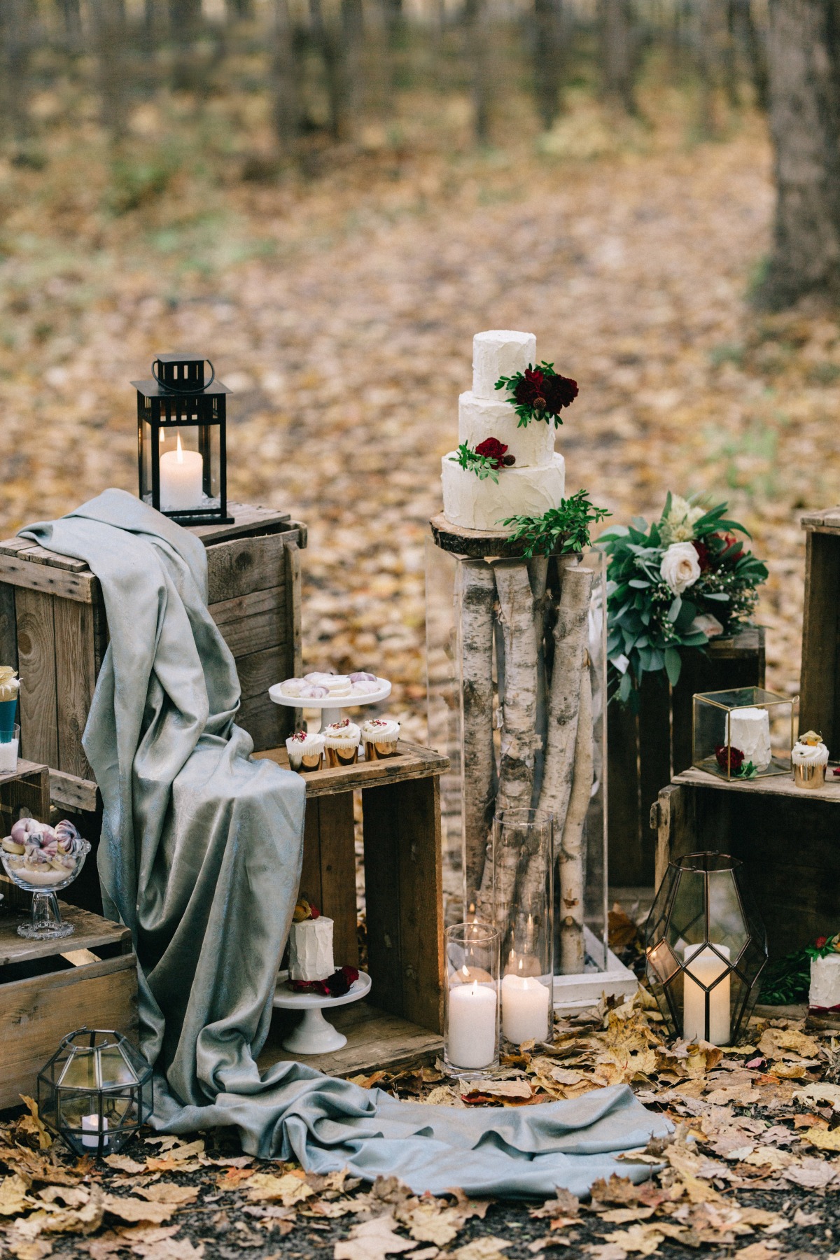 enchanted-forest_cgds7364