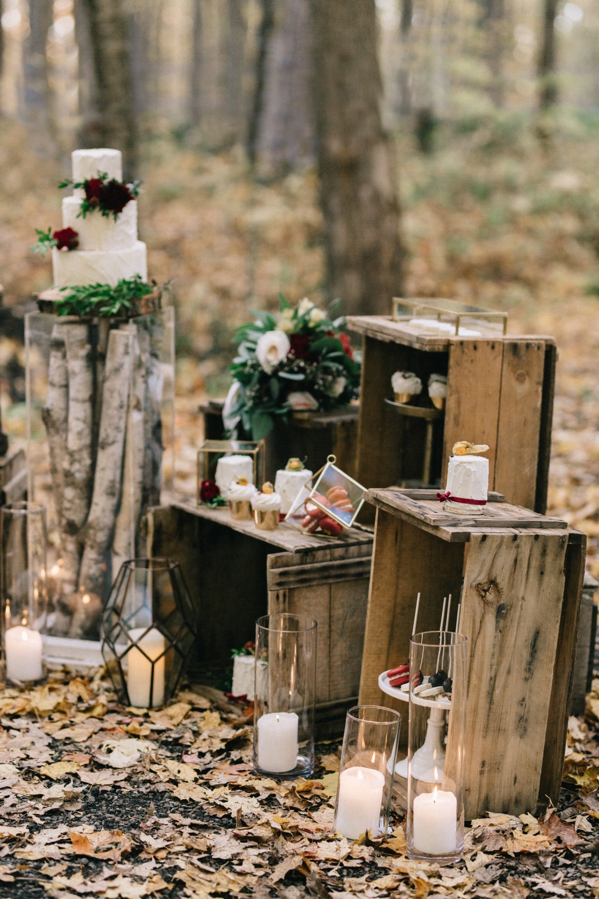 enchanted-forest_cgds7365