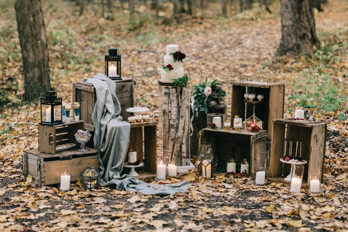 enchanted-forest_cgds7380