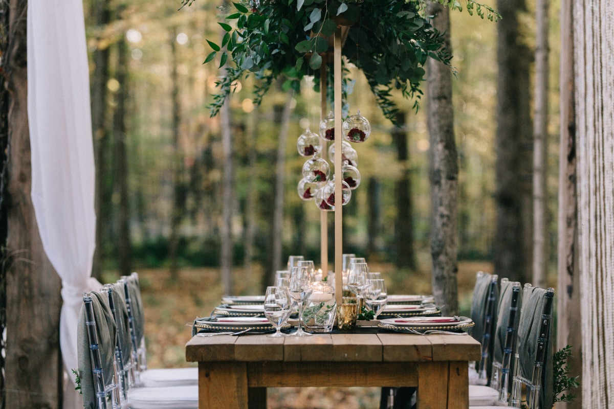 enchanted-forest_cgds7390