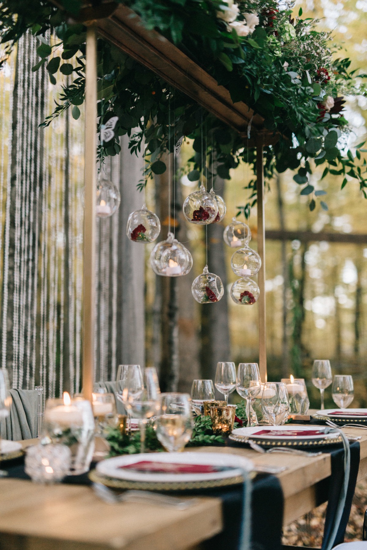 enchanted-forest_cgds7443